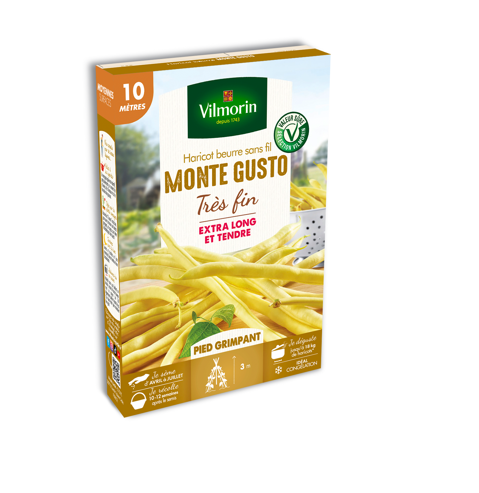 Haricot Grimpant Beurre Monte Gusto - 10 m