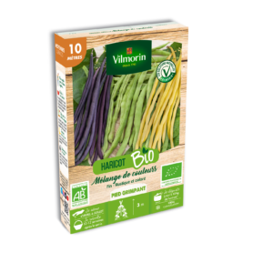 Haricot Grimpant en Mélange de Couleurs - 10 m - BIO