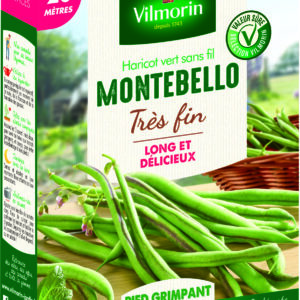 Haricot Grimpant Vert Montebello - 20 m