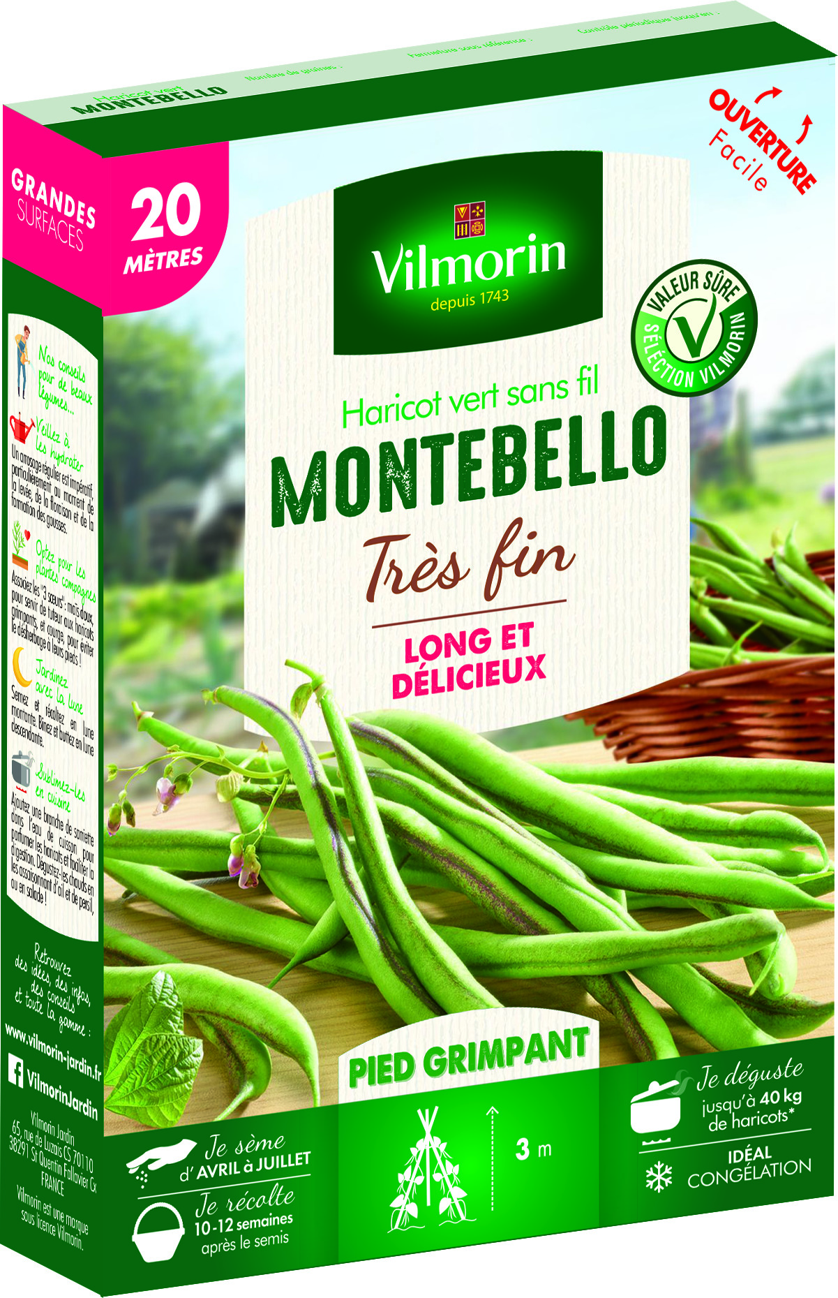 Haricot Grimpant Vert Montebello - 20 m