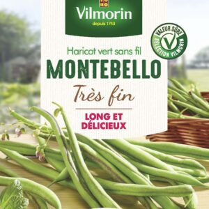 Haricot Grimpant Vert Montebello - 5 m