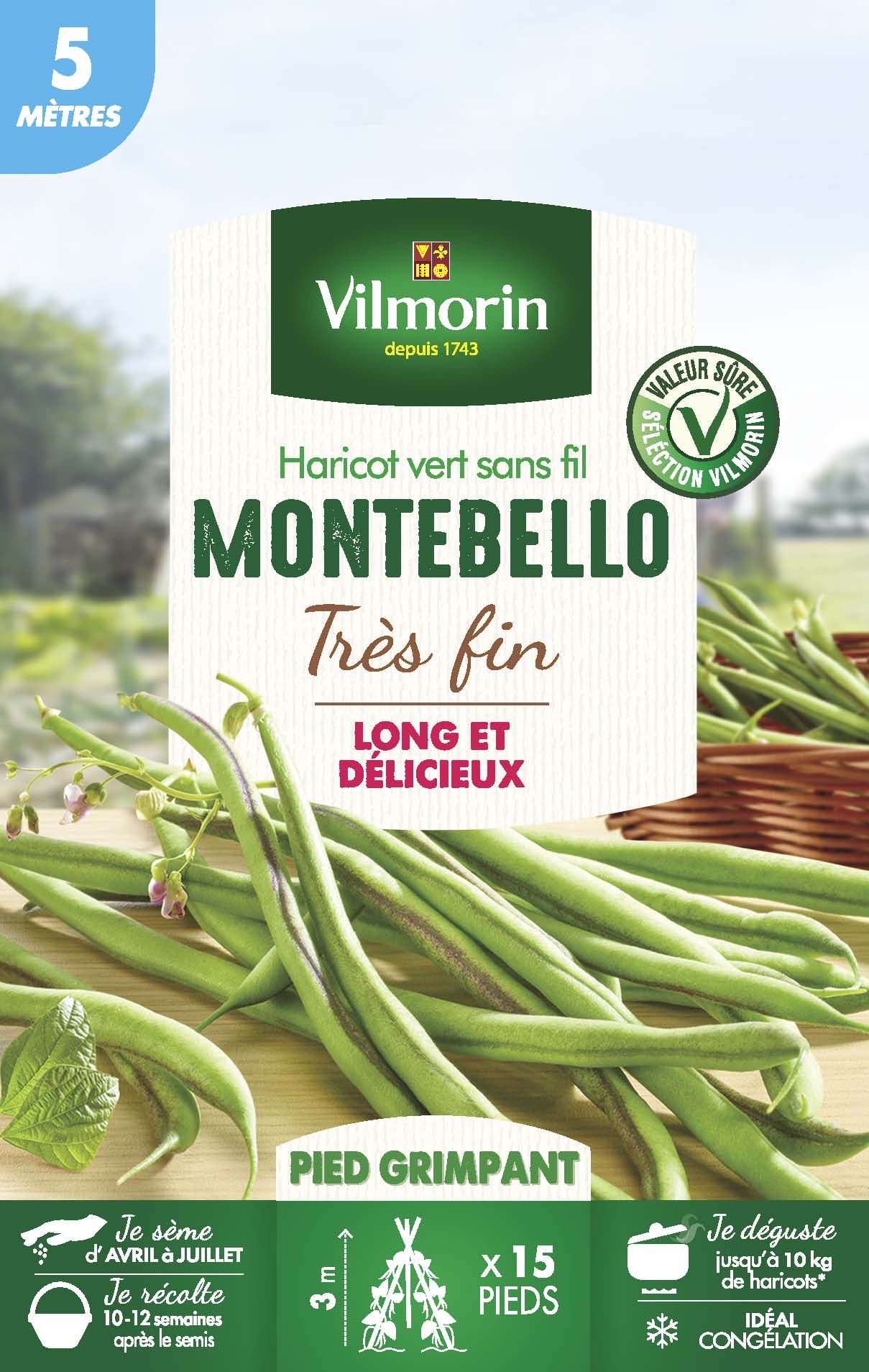 Haricot Grimpant Vert Montebello - 5 m