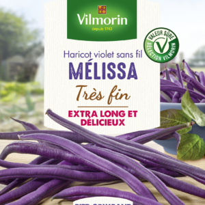 Haricot Grimpant Violet Mélissa - 5 m