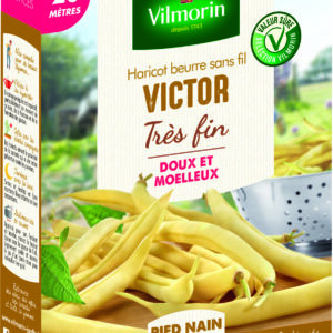 Haricot Nain Beurre Victor - 20 m