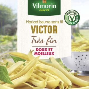 Haricot Nain Beurre Victor - 5 m