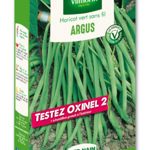 Haricot Nain Vert Argus + échantillon Oxinel 2