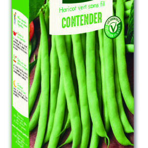 Haricot Nain Vert Contender