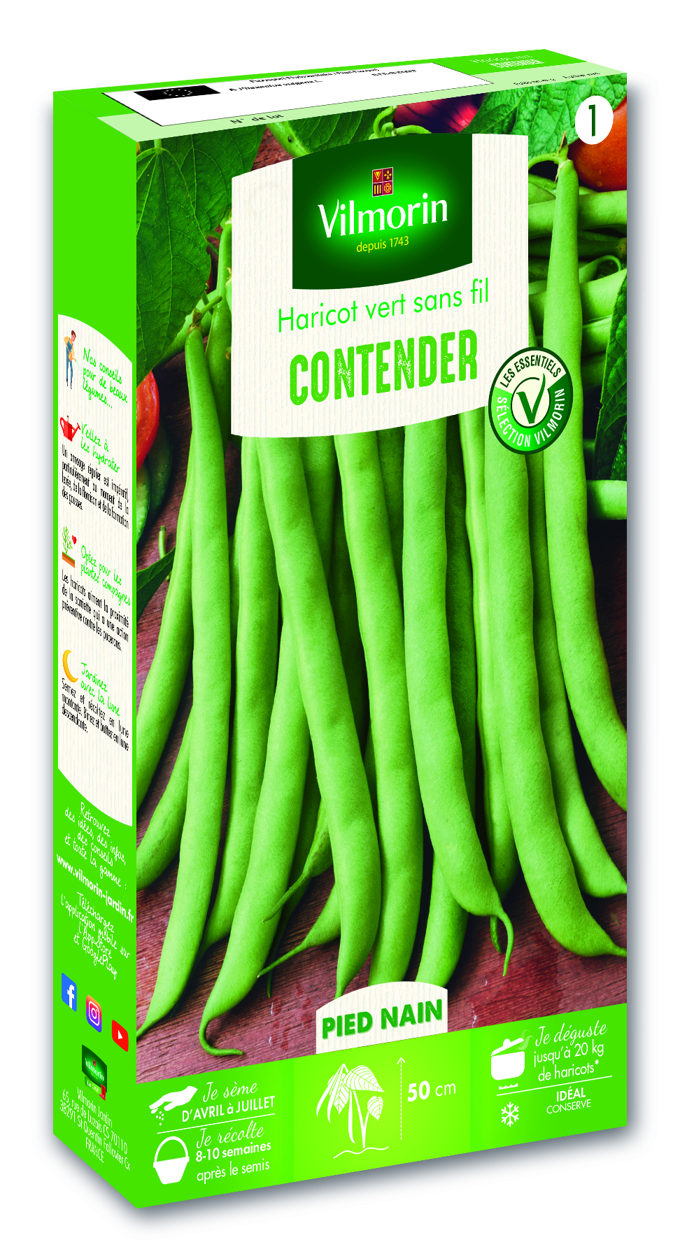 Haricot Nain Vert Contender