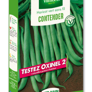 Haricot Nain Vert Contender + échantillon Oxinel 2