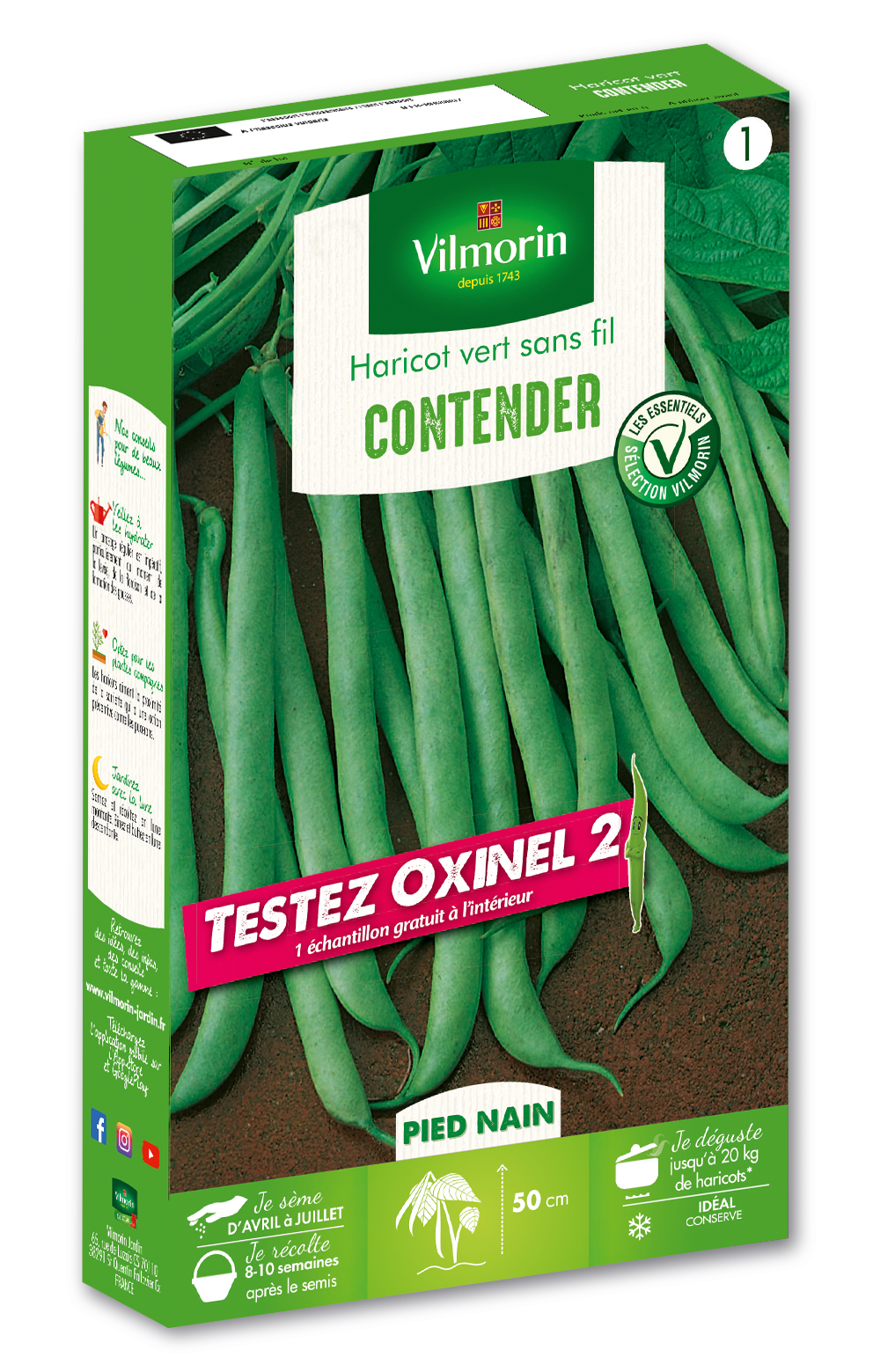 Haricot Nain Vert Contender + échantillon Oxinel 2