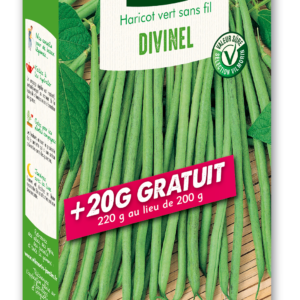 Haricot Nain Vert Divinel + 20 g Offert