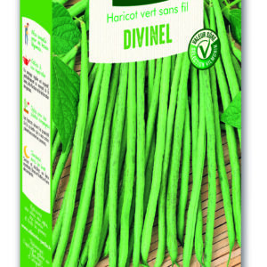 Haricot Nain Vert Divinel