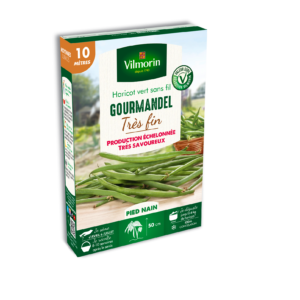 Haricot Nain Vert Gourmandel - 10 m