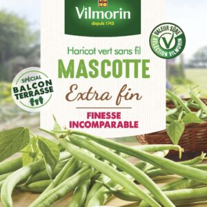 Haricot Nain Vert Mascotte - 5 m