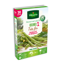 Haricot Nain Vert Oxinel 2 - 20 m
