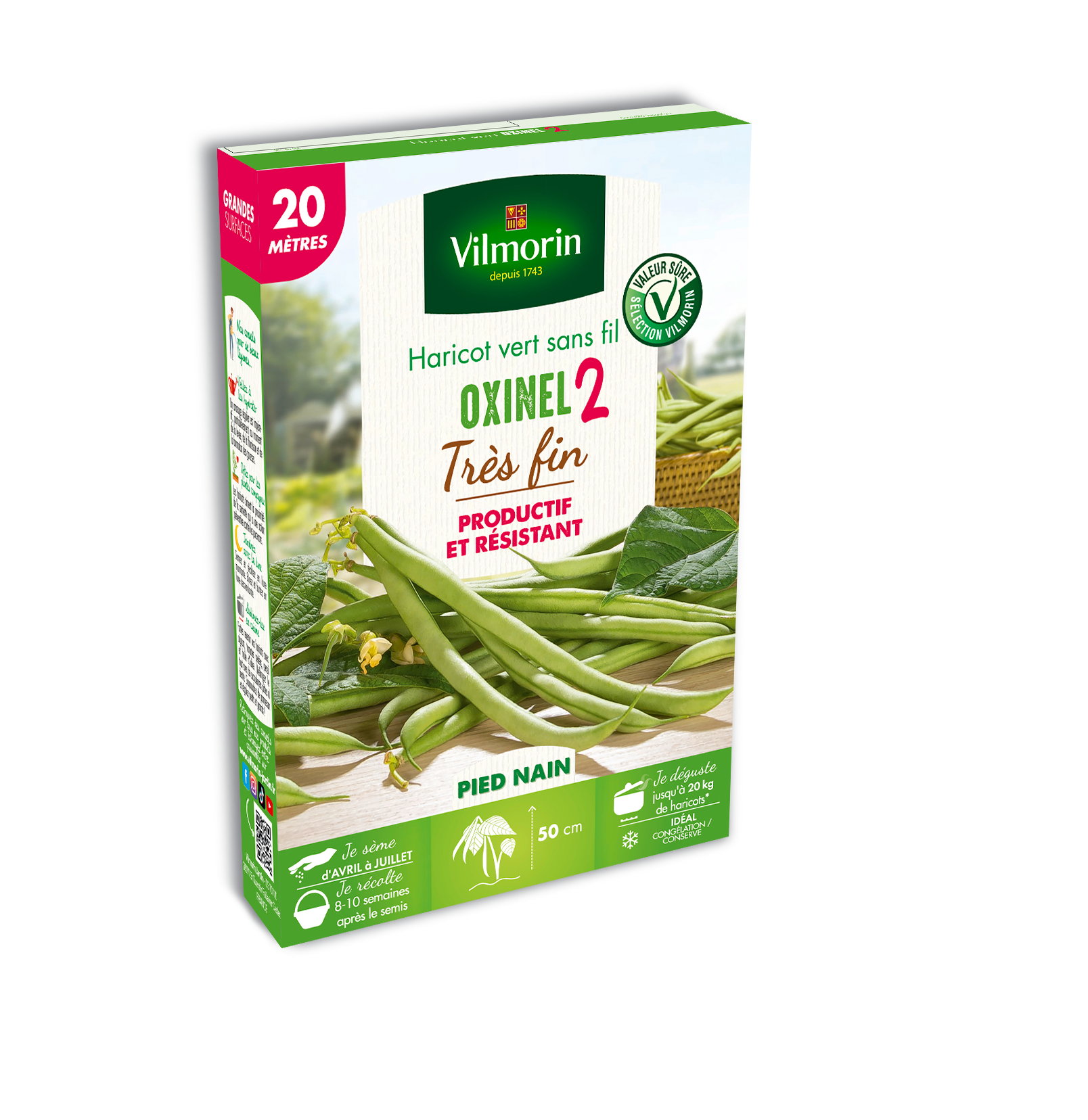 Haricot Nain Vert Oxinel 2 - 20 m