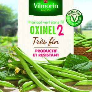 Haricot Nain Vert Oxinel 2 - 5 m