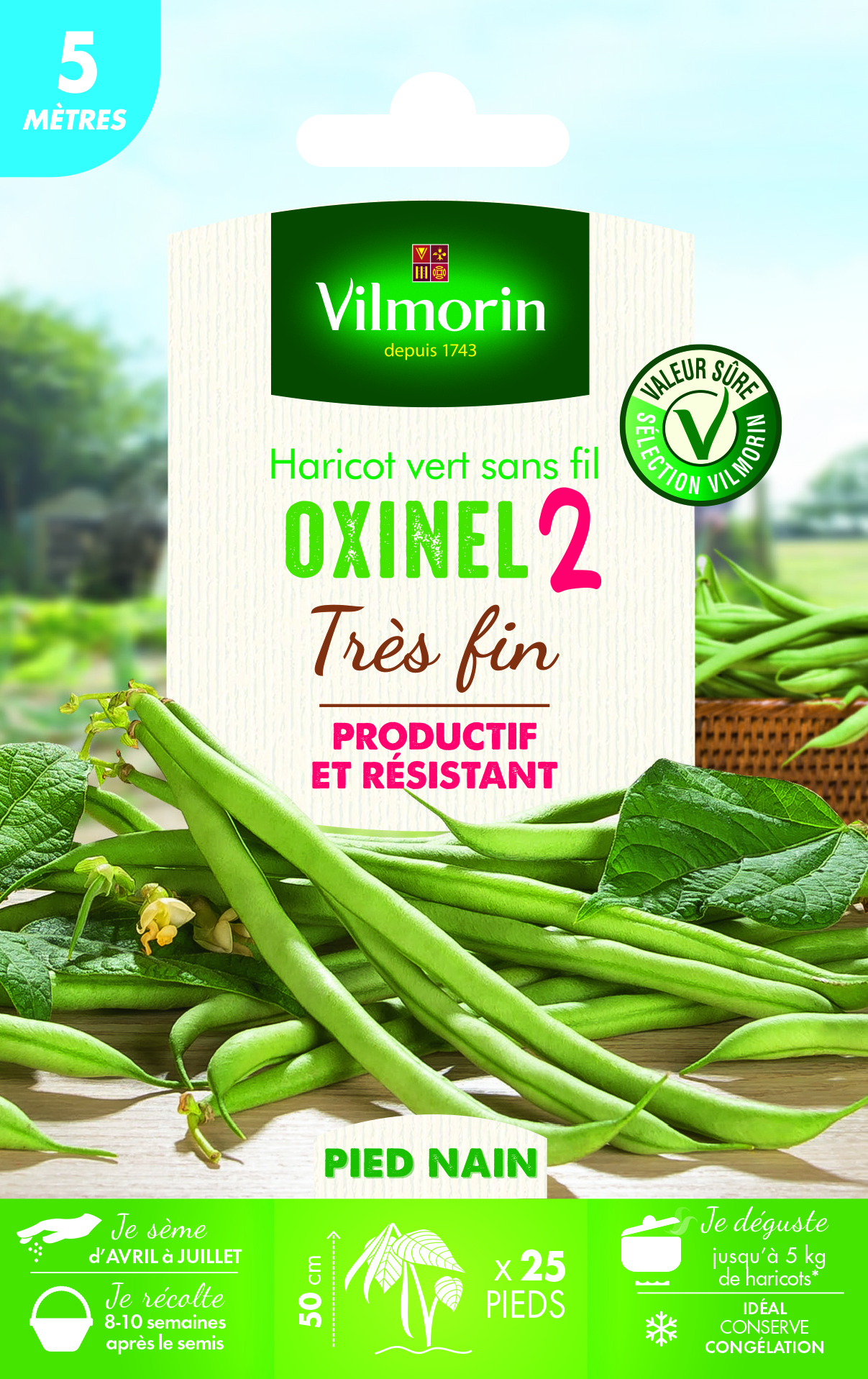 Haricot Nain Vert Oxinel 2 - 5 m