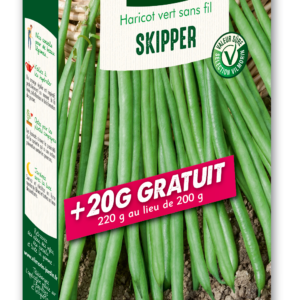 Haricot Nain Vert Skipper + 20 g Offert