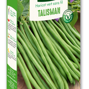 Haricot Nain Vert Talisman