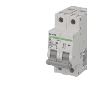 Interrupteur Sectionneur Modulaire 2 pôles 63A Noark