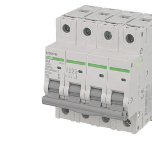 Interrupteur Sectionneur Modulaire 4 pôles 63A Noark