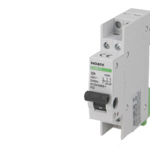 Inverseur de source Monophasé 32A Noark