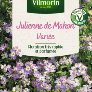Julienne de Mahon Variée