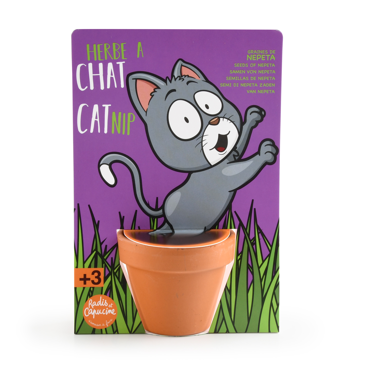 Kit de jardinage - Herbe à Chat