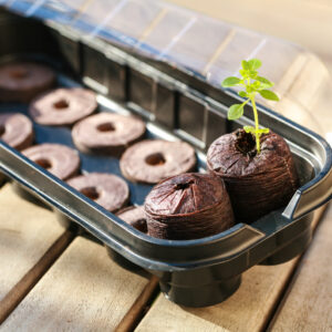 Kit de Plantation : Mini Serre + 10 Pastilles de Coco