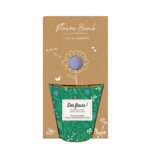 Kit de semis - Des fleurs - 1 bombe à graines - BIO