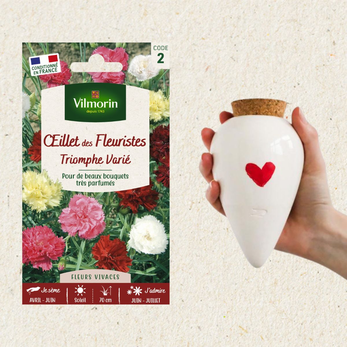 Kit Œillet des Fleuristes Varié + Olla Cœur