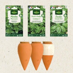 Kit semis Basilic, Persil, Menthe Marocaine + 3 Mini Ollas