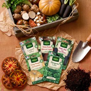 Kit semis de légumes anciens + 12 étiquettes de marquage offertes