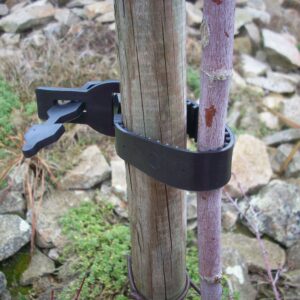 Lien en Caoutchouc - 40 cm