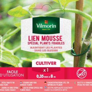 Lien Mousse Jeunes Pousses Fragiles - 3.5 mm