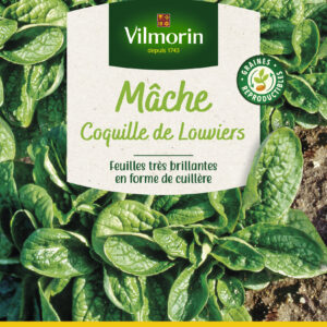 Mâche Coquille de Louviers - Grand Modèle