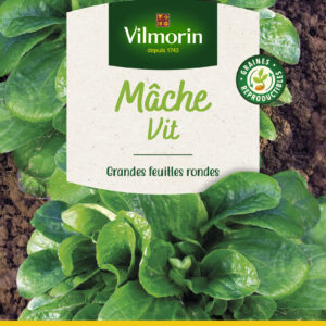 Mâche Vit - Grand Modèle