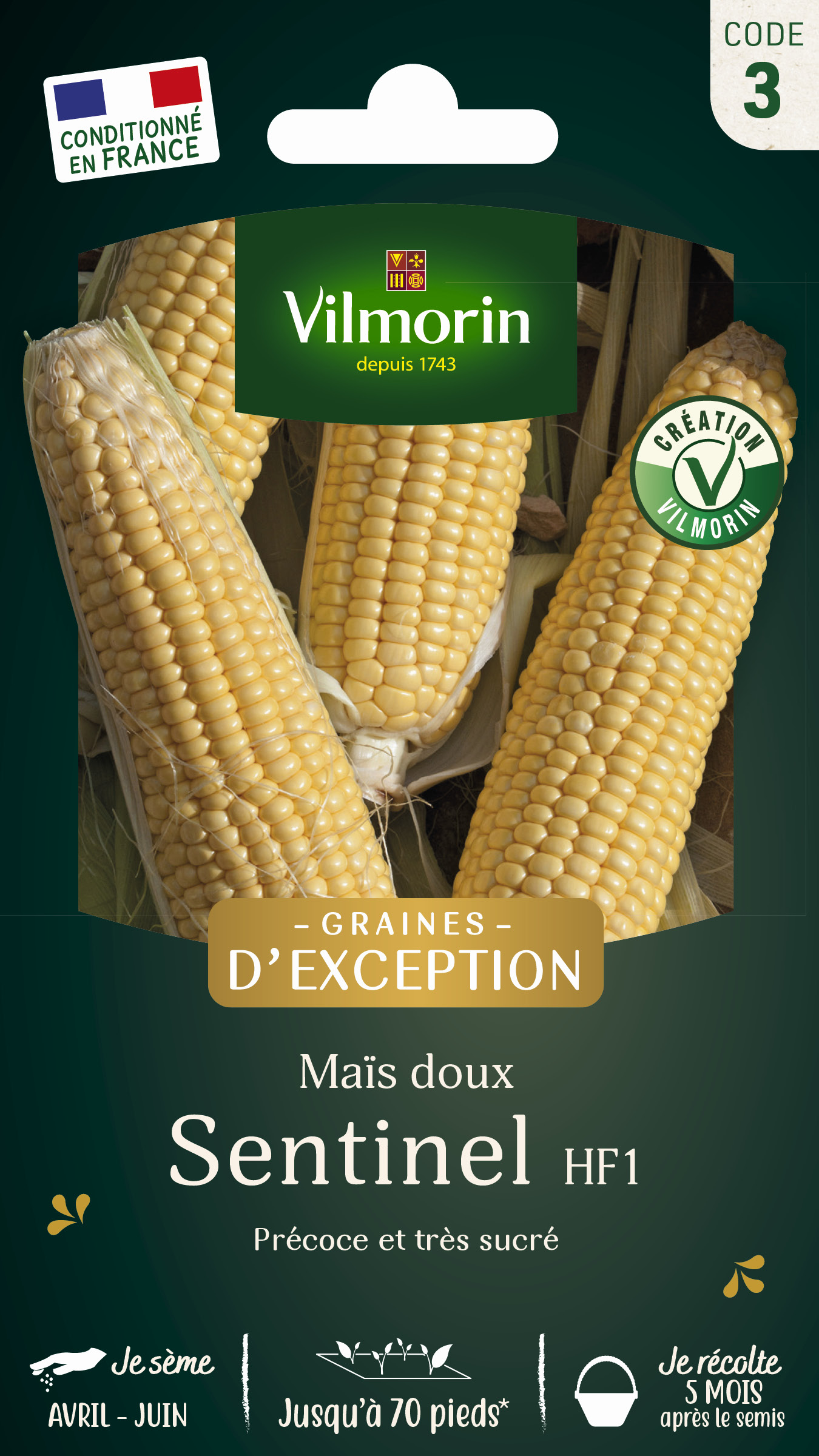 Maïs doux Sentinel HF1 - Graines d'Exception