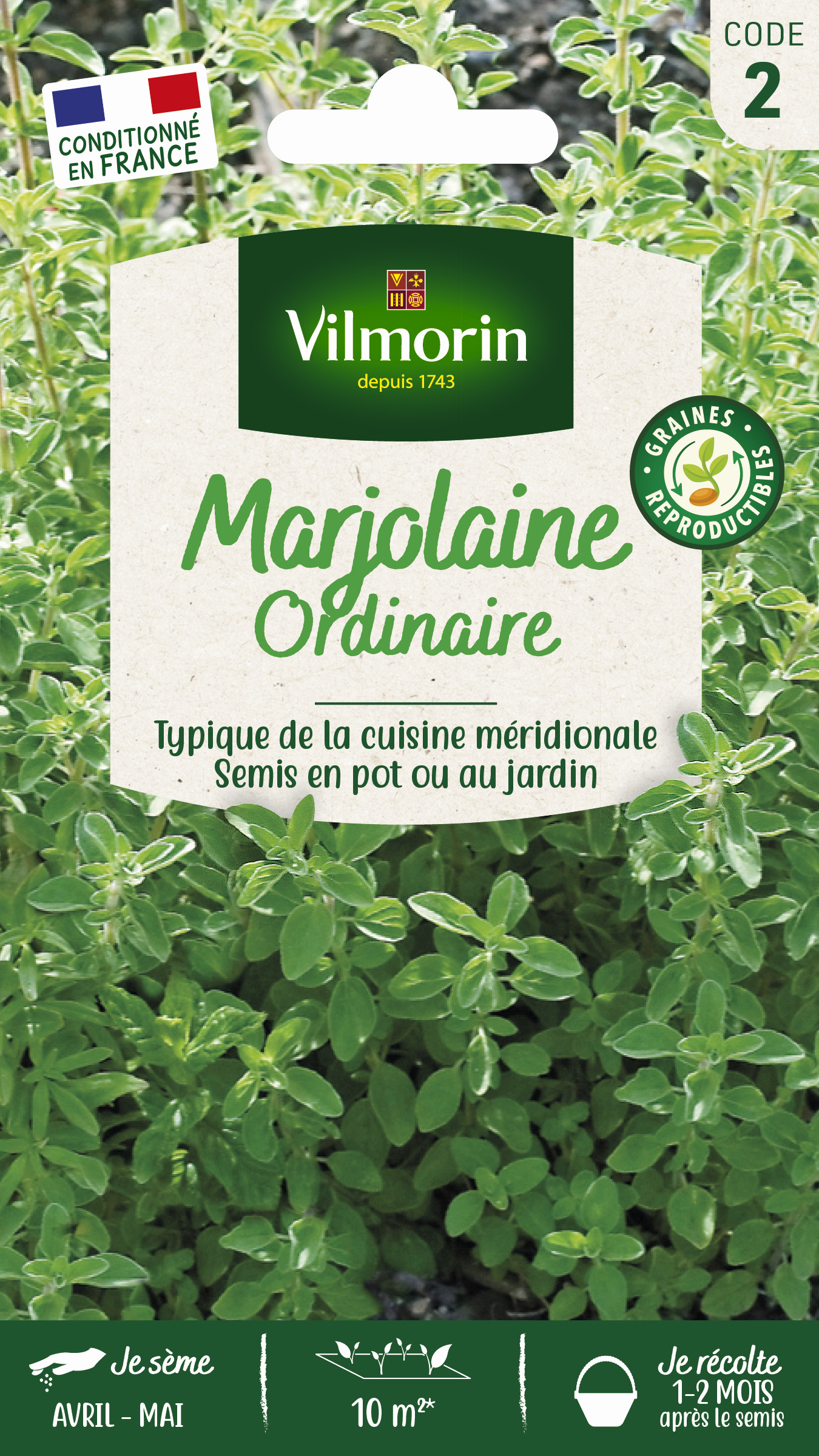 Marjolaine Annuelle