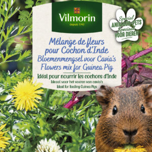 Mélange de fleurs pour Cochons d'Inde