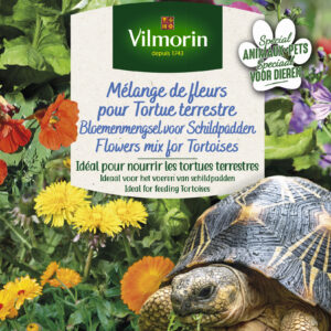 Mélange de fleurs pour Tortues Terrestres