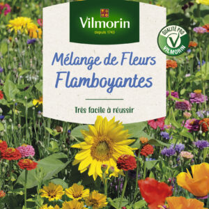 Mélange Flamboyant - 10 m² - Mélange de fleurs
