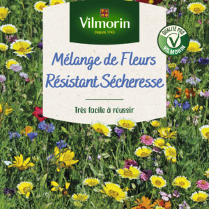 Mélange Résistant Sécheresse - 10 m² - Mélange de fleurs