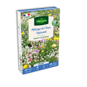 Mélange Tapissant - 25 m² - Mélange de fleurs