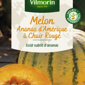 Melon Ananas - Cuisine du Monde