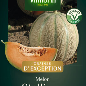 Melon Stellio HF1 - Graines d'Exception