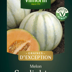 Melon Sunlight HF1 - Graines d'Exception