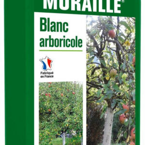 Muraille blanc Arboricole