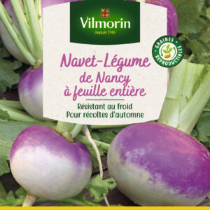 Navet-Légume de Nancy à Feuille Entière - Grand Modèle